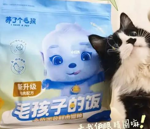 粮！三只松鼠靠什么重返宠物食品赛道pg电子平台零食巨头盯上毛孩子口(图2)