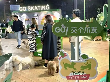 特鲜生丨宠物坐高铁侯毅下厨房pg电子试玩网站免费实探派(图4)