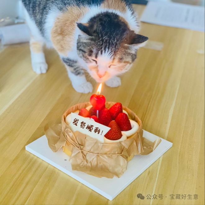 消费品从业者的五年创业思考pg电子平台深度 一个新(图2)