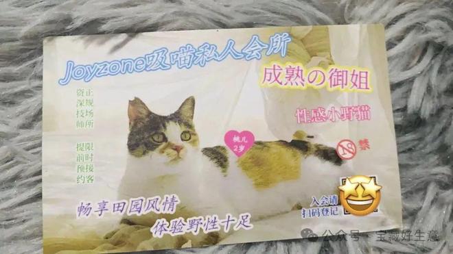 消费品从业者的五年创业思考pg电子平台深度 一个新(图5)