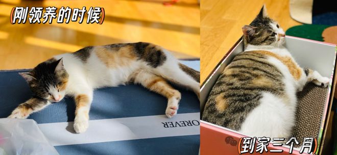 消费品从业者的五年创业思考pg电子平台深度 一个新(图13)