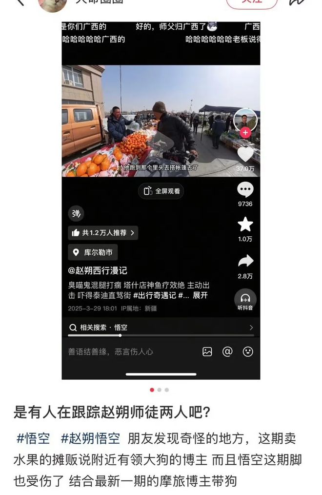 世：主人赵朔公开去世细节可能死于投毒！pg电子模拟器试玩网红小猫“悟空”去