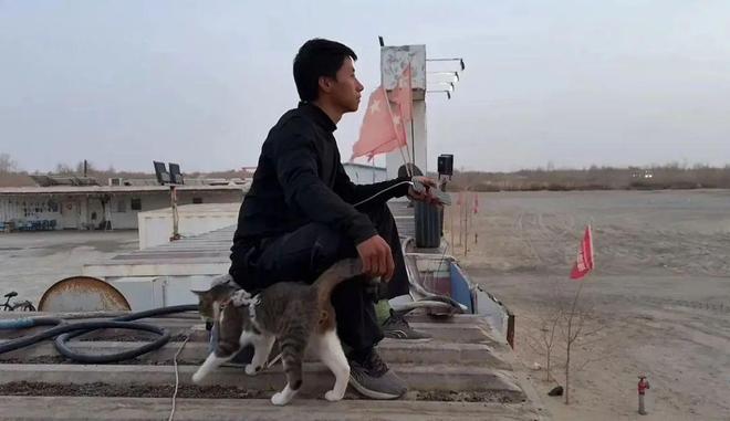 世：主人赵朔公开去世细节可能死于投毒！pg电子模拟器试玩网红小猫“悟空”去(图4)