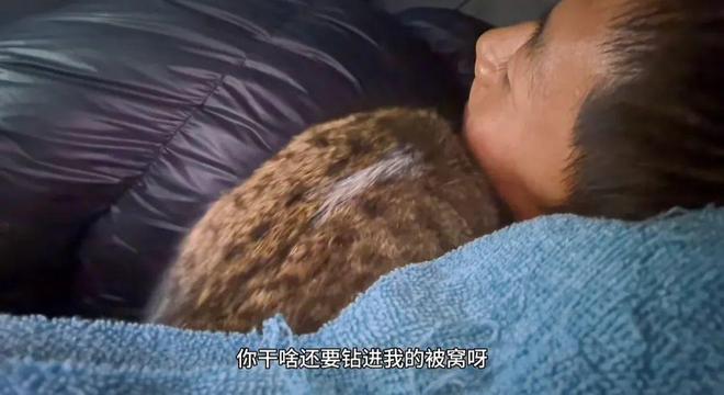 世：主人赵朔公开去世细节可能死于投毒！pg电子模拟器试玩网红小猫“悟空”去(图5)