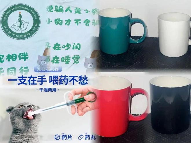 在！友趣会宠物交友墙火热招募中pg电子免费模拟器萌宠出道就现