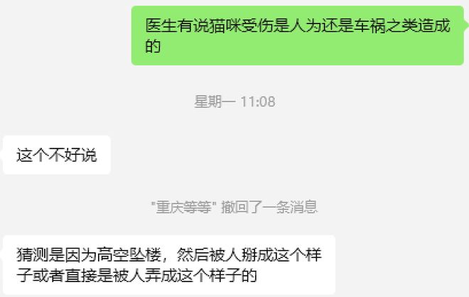 上刷到一只奇形怪状的蓝猫结果真相是…pg电子免费模拟器游戏太造孽了！网(图11)