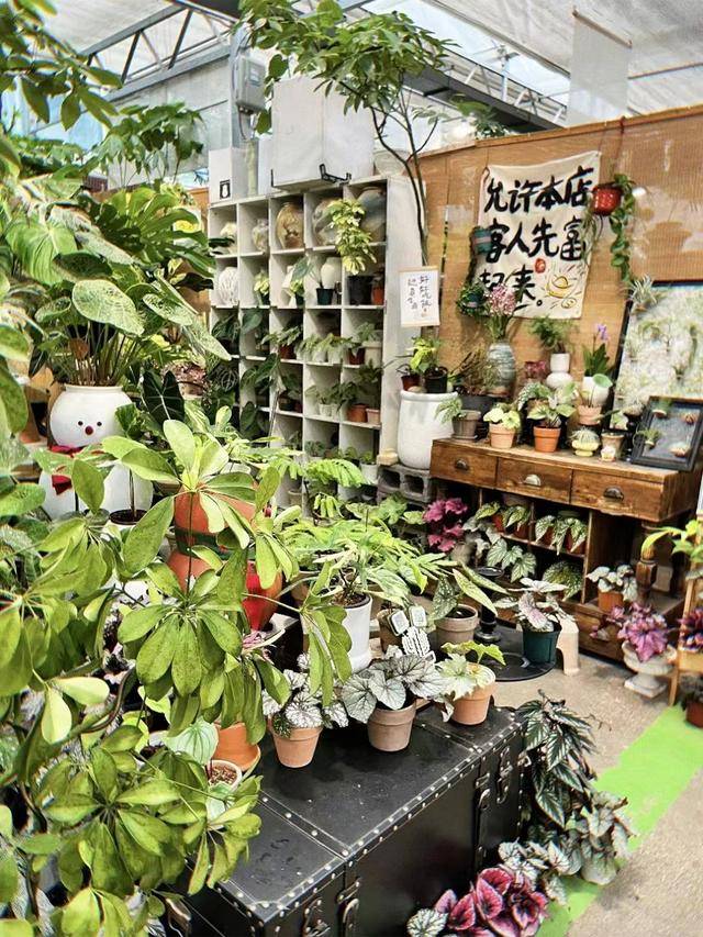个商业年轻人浓度超标电子pg游戏西安这7(图12)